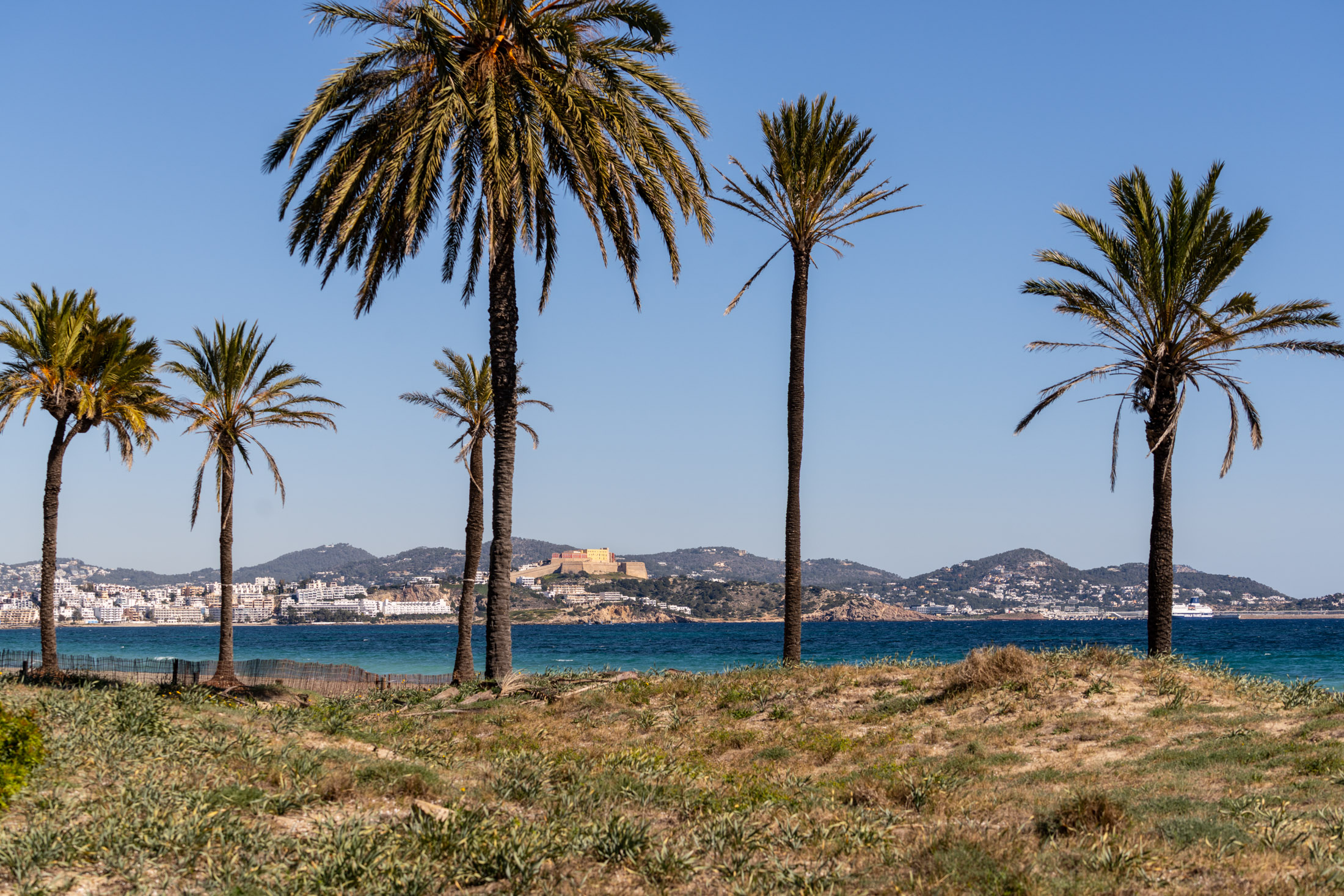 Four new hotels reshape Ibiza this season, from a 3,000-year-old castle to a nature-led temple