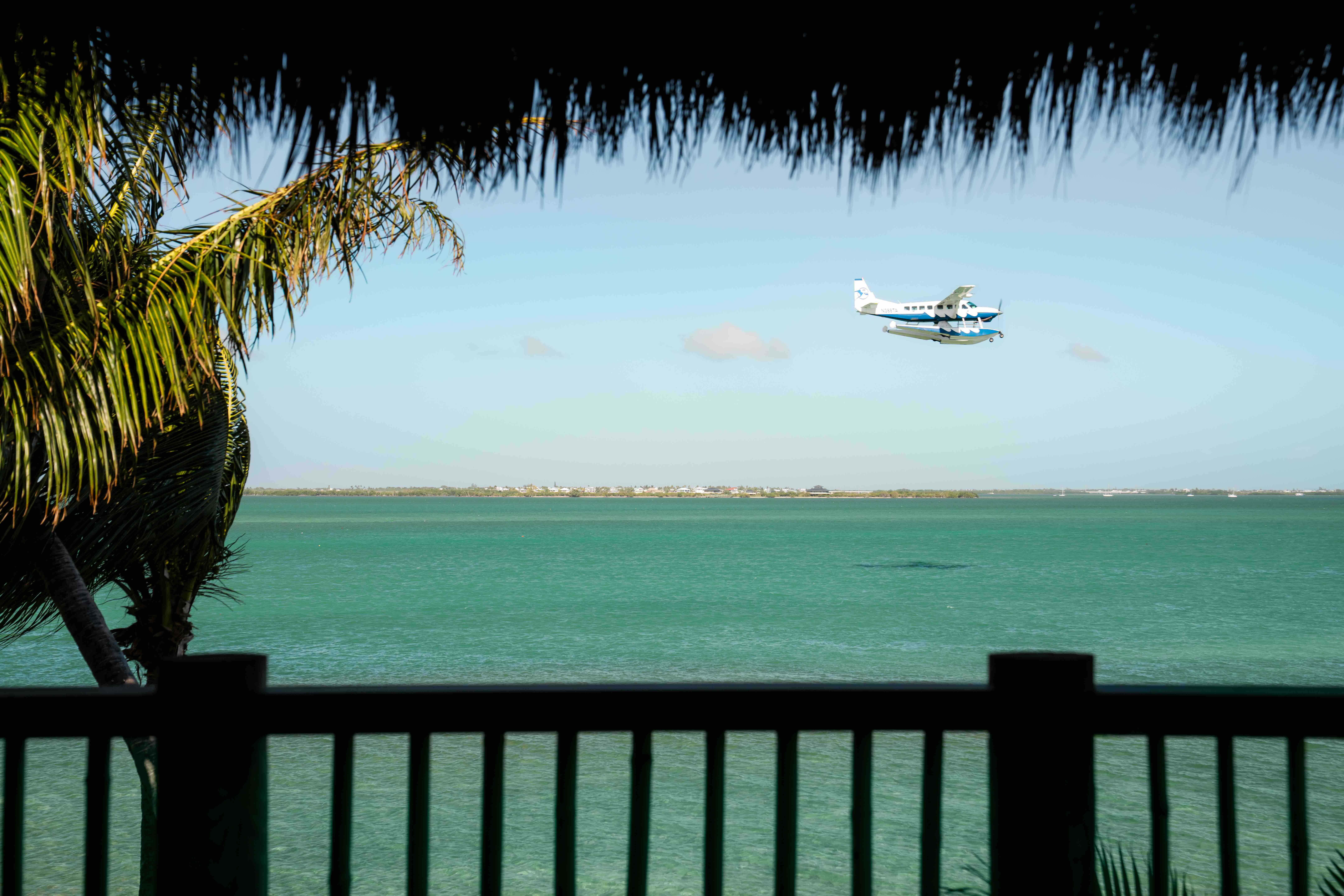 Image of Little Palm Island